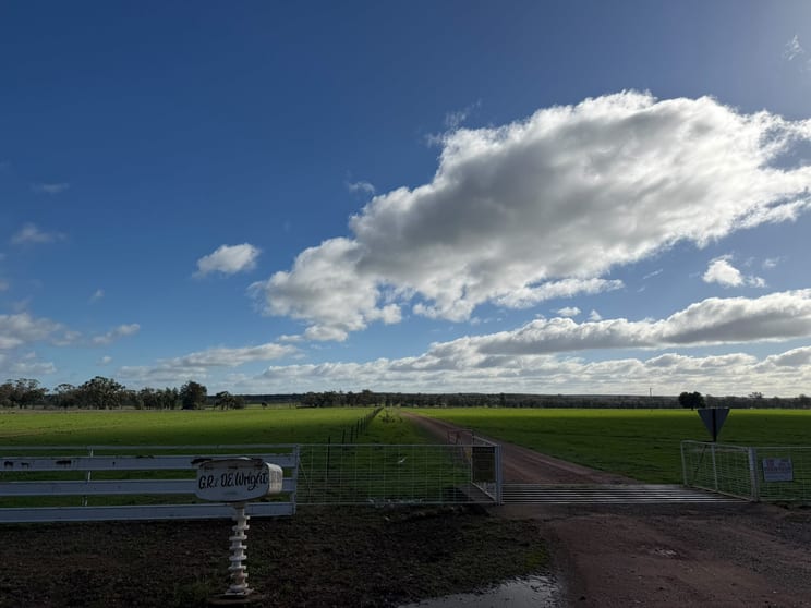 Click to view all images Numalla Road Trundle NSW 2875 - Image 2