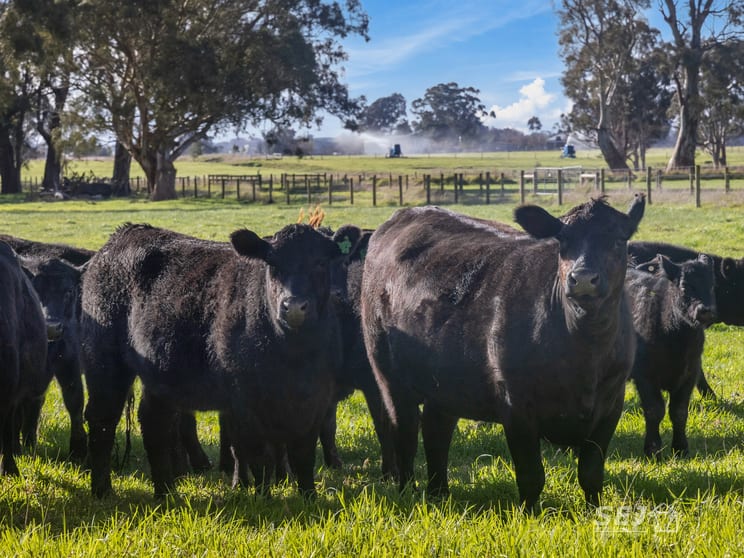 Click to view all images 596 Settlement Road Kilmany VIC 3851 - Image 1