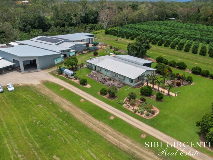 733 Bilwon Road Biboohra QLD 4880 - Image 2