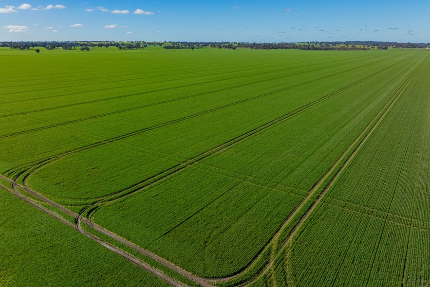 90 Kilnyana Road Savernake NSW 2646 - Image 2
