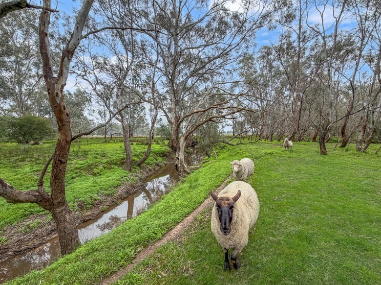 Click to view all images 20 Toohey Street Baddaginnie VIC 3670 - Image 2