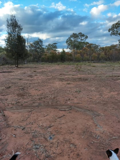 Click to view all images Tara QLD 4421 - Image 1