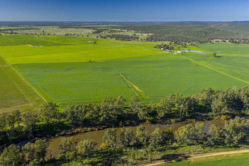 'San Diego Narromine Road Dubbo NSW 2830 - Image 1
