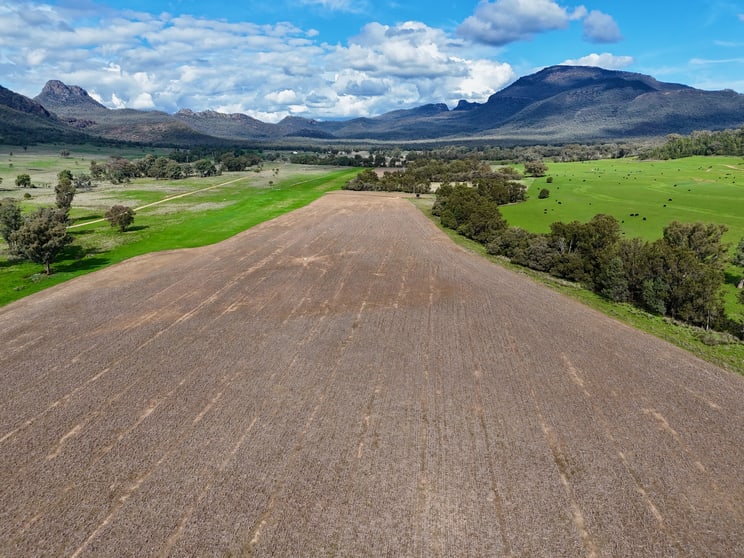 THE GLEN/308 Allambie Road Edgeroi NSW 2390 - Image 3