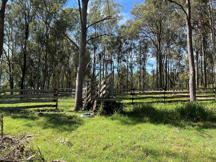 Click to view all images LOT 14 Old Dyraaba Road Lower Dyraaba NSW 2470 - Image 1
