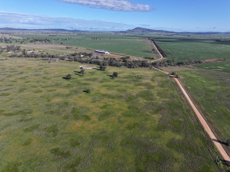 Click to view all images Stanley Park 327 Back Creek Road Forbes NSW 2871 - Image 1