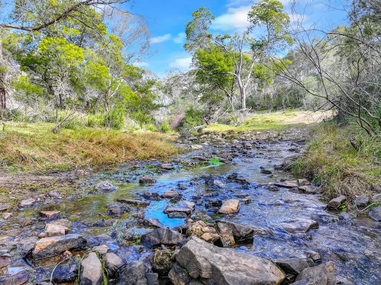 Lot 193 / 443 Back Creek Road Mongarlowe NSW 2622 - Image 2
