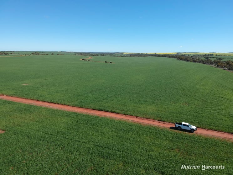 2174 Nanekine Road Mingenew WA 6522 - Image 3