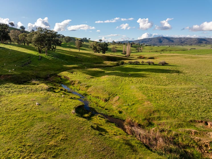 1307 Westbrook Road Oberne Creek NSW 2650 - Image 2