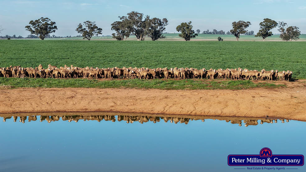 Click to view all images 48R Quamby Road Wongarbon NSW 2831 - Image 1