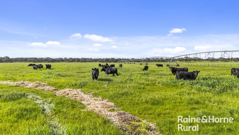 556 Mail Bridge Road Reedy Creek SA 5275 - Image 1
