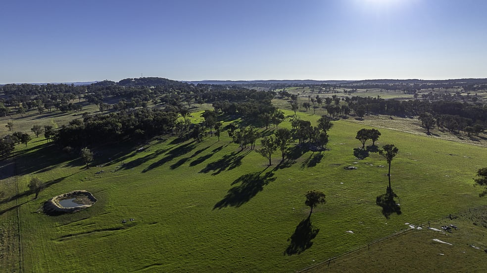 "Chippendale" 1337 Baldersleigh Road Guyra NSW 2365 - Image 2