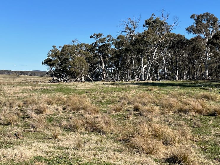 Click to view all images Lot 13 Mayfield Road Tarago NSW 2580 - Image 2