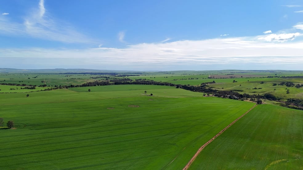 Click to view all images 'Riverleigh' 110 Pedler Road Yacka SA 5470 - Image 3