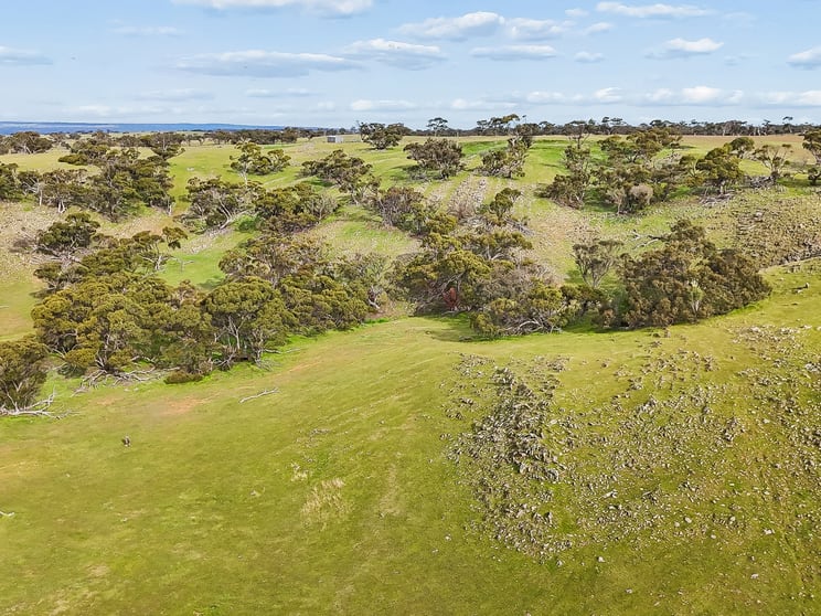 Click to view all images Lot 107 Critchley Road Rockleigh SA 5254 - Image 2