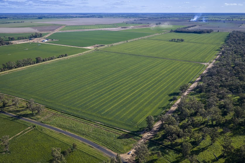 Click to view all images 1048 Warren Road Narromine NSW 2821 - Image 3