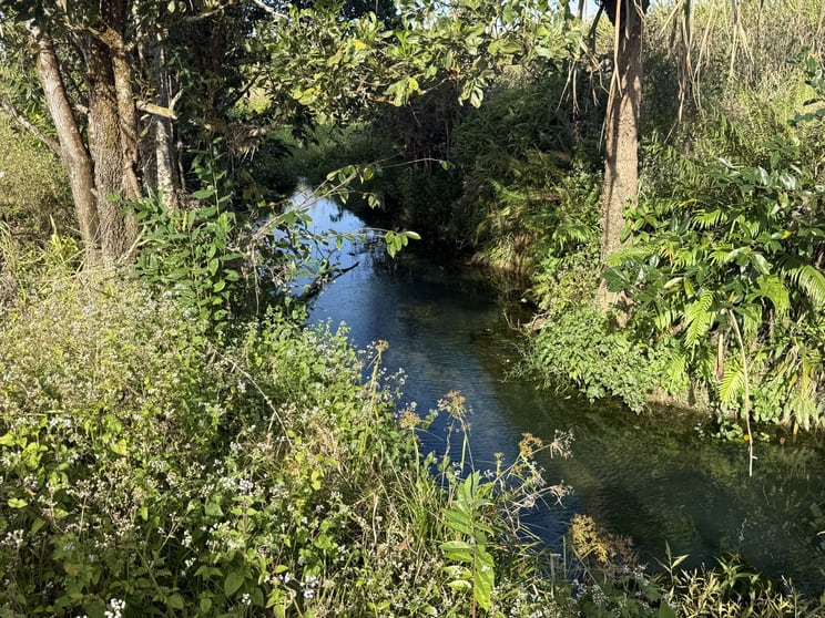 Silkwood QLD 4856 - Image 2