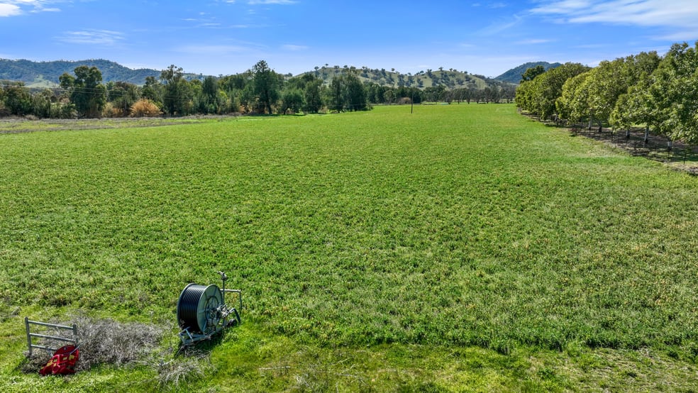 Click to view all images "The Oaks" 4 Magnesite Rd Tamworth NSW 2340 - Image 3