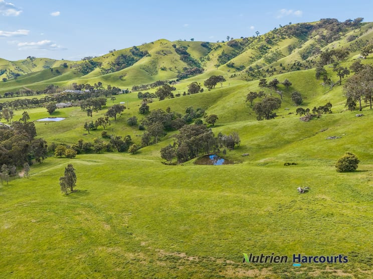 715 King Parrot Creek Road Strath Creek VIC 3658 - Image 3