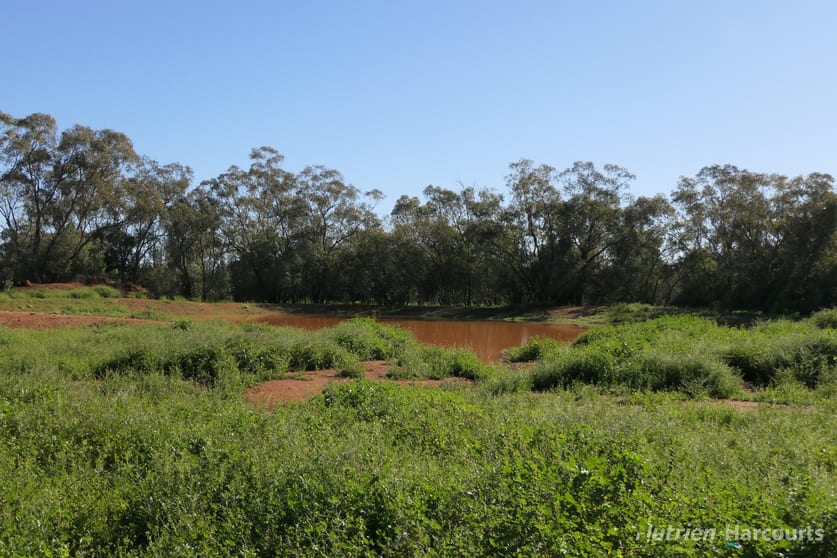 * KALLARA, 881 Kallara Road Hermidale NSW 2831 - Image 3