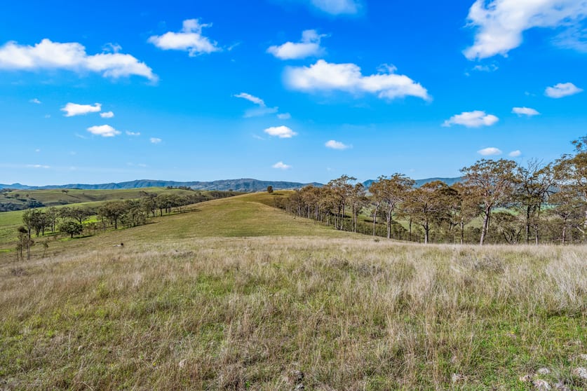 Off Goorangoola Road Greenlands Singleton NSW 2330 - Image 1
