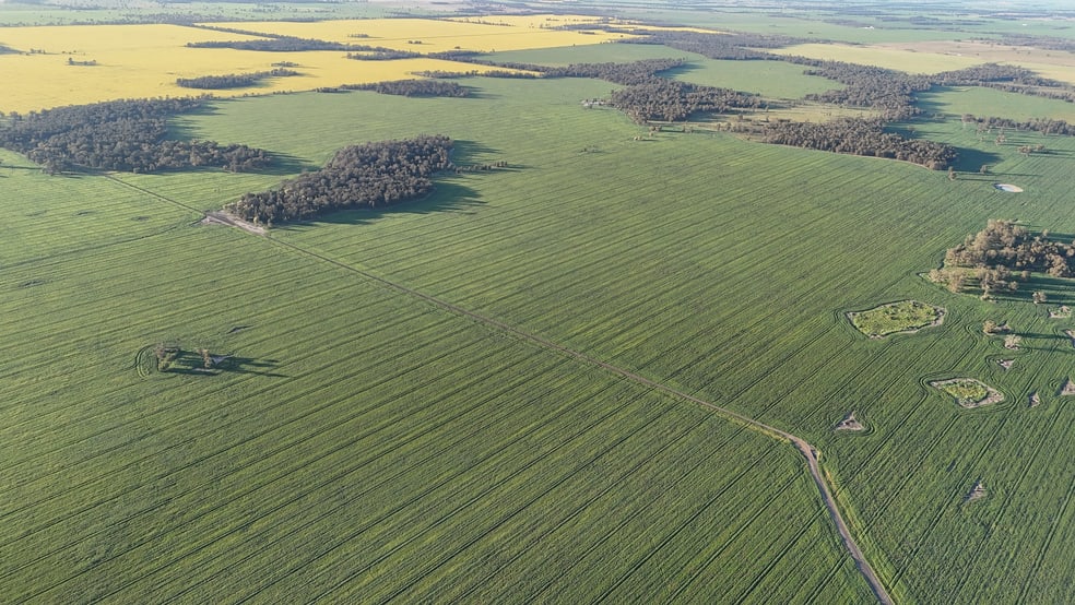 5510 Mid Western Highway Caragabal NSW 2810 - Image 3