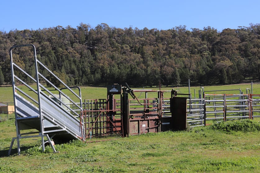 1 Yarrangong Road Forbes NSW 2871 - Image 2