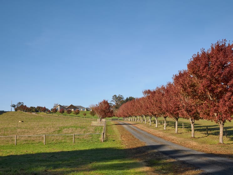 331 Warragul-Lardner Road Warragul South VIC 3821 - Image 3