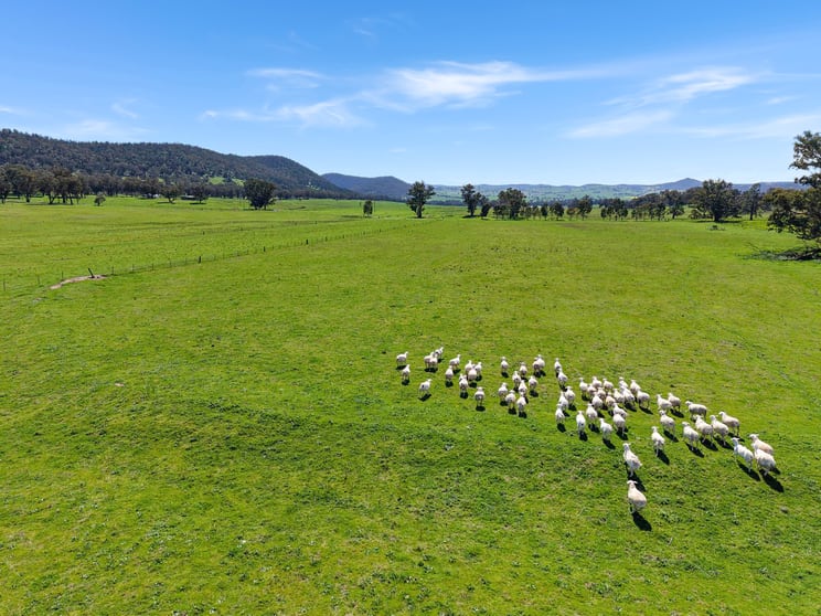 223 Rodwells Road Murga NSW 2864 - Image 1