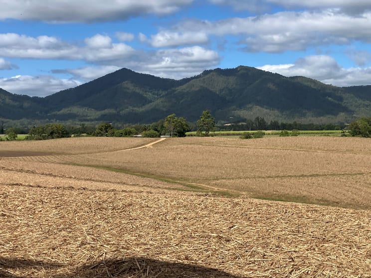 Lot 4 Primroses Road Finch Hatton QLD 4756 - Image 1