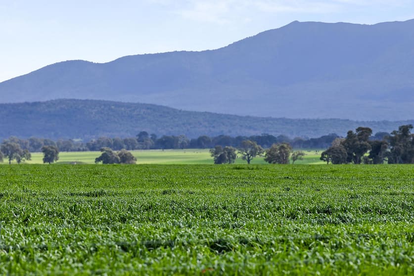 1077 Yarram Gap Road Willaura VIC 3379 - Image 1