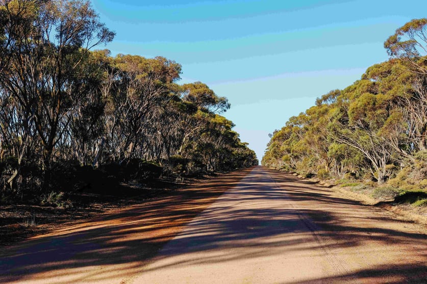 Click to view all images Lot 354 Salmon Gums West Road Salmon Gums WA 6445 - Image 1