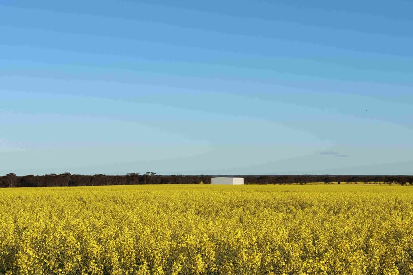 Click to view all images Lot 354 Salmon Gums West Road Salmon Gums WA 6445 - Image 3