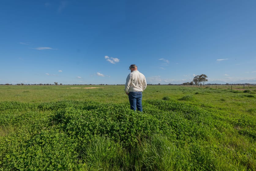 Click to view all images "Greendale" 536 Wyrra Lane West Wyalong NSW 2671 - Image 2
