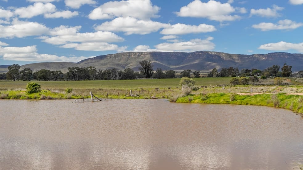 Click to view all images 248 Houplines Road Peak Hill NSW 2869 - Image 2