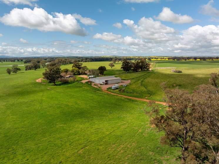 Click to view all images 66 Noorla Lane Erin Vale NSW 2663 - Image 1