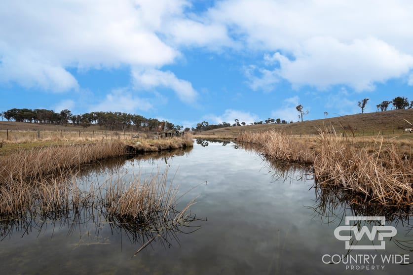 Click to view all images Plain View, 916 Emmaville Road Glen Innes NSW 2370 - Image 2