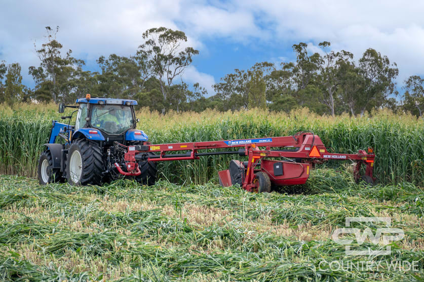 Click to view all images Plain View South, 91 Emmaville Road Glen Innes NSW 2370 - Image 1