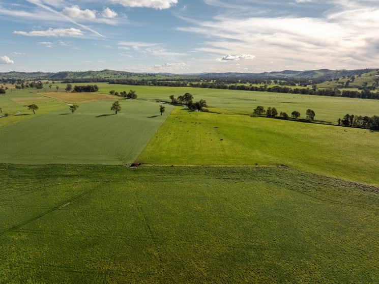Click to view all images 11 Edwardstown Road South Gundagai NSW 2722 - Image 2