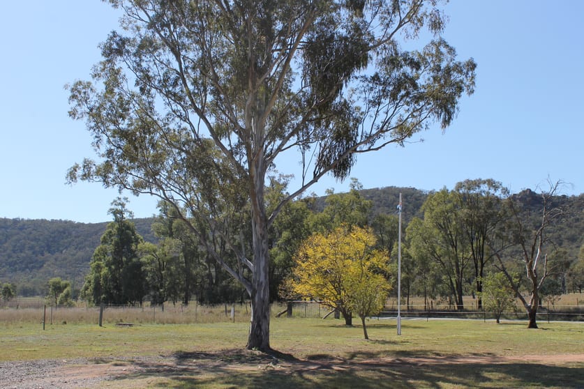 Golden Highway Sandy Hollow NSW 2333 - Image 3