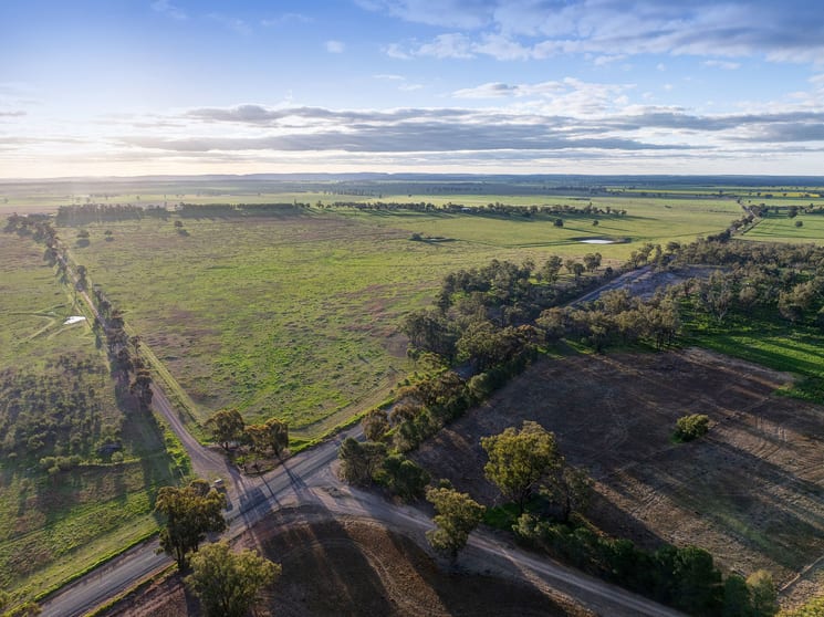 Click to view all images 783 Calarie Road Forbes NSW 2871 - Image 3