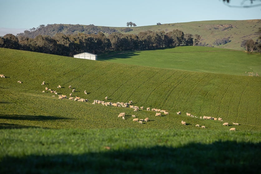 641 Maragle Creek Road Tooma NSW 2642 - Image 2