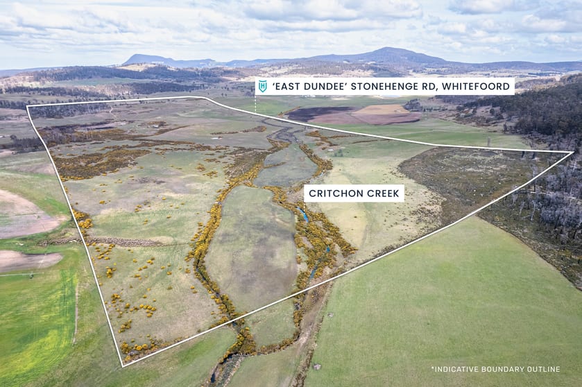 'East Dundee' Stonehenge Road Whitefoord TAS 7120 - Image 2