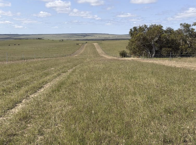 339 Butcher Road Bookara WA 6525 - Image 3