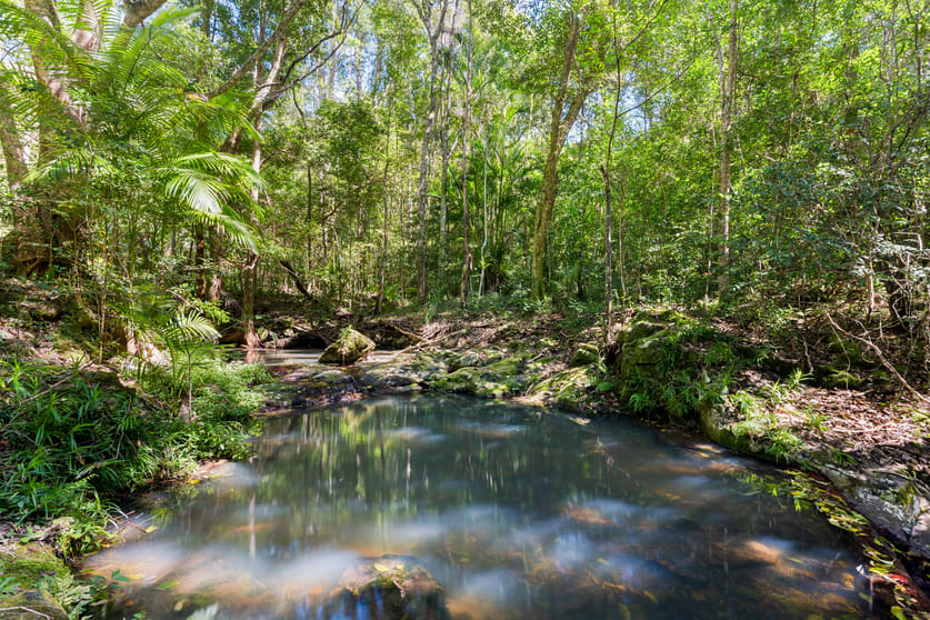 181 Kirbys Road Montville QLD 4560 - Image 3