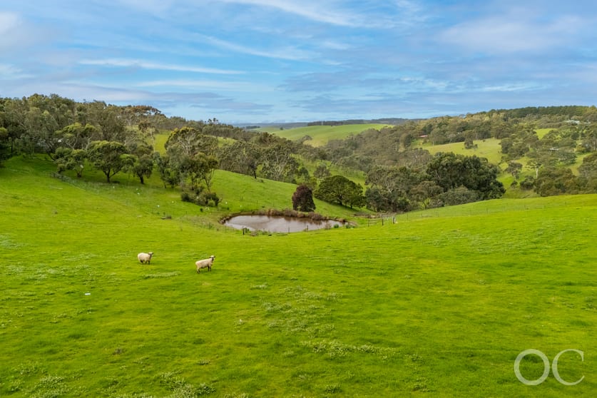 Click to view all images 379 Louds Hill Road Willunga South SA 5172 - Image 1