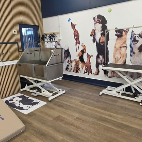 Animal Related  business for sale in Stanmore - Image 1