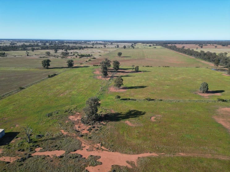 Click to view all images 'Fernleigh' 882 Womboyne Rd West Wyalong NSW 2671 - Image 3