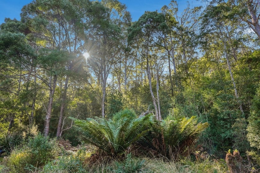 Click to view all images 139 Pirates Bay Drive Eaglehawk Neck TAS 7179 - Image 3