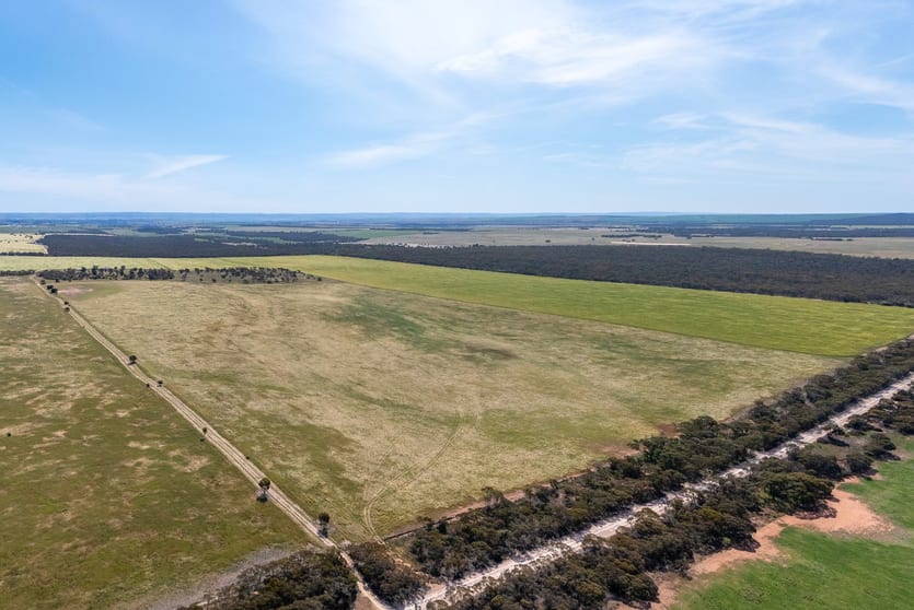 1681 Boundary Road Burdett SA 5253 - Image 2